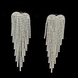 Beautiful XL shining earrings
